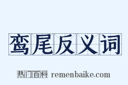 鸾尾反义词是什么意思的图片